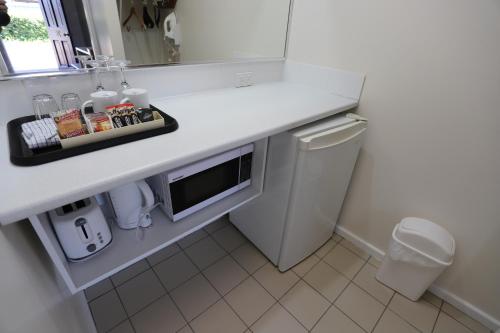 纽卡斯尔Reign Inn Newcastle的浴室配有带水槽和微波炉的台面。