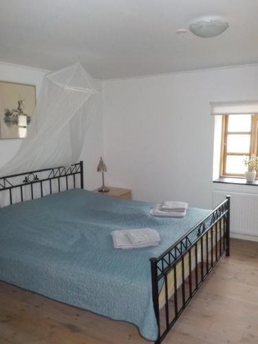 赛比Lyngsågaard K的一间卧室配有一张带蓝色床单的床和一扇窗户。