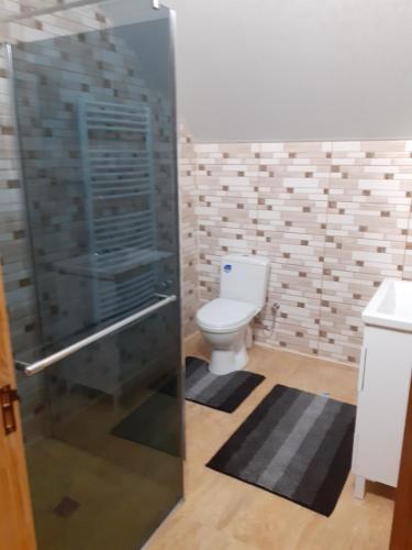 Novoselitsaсоколів камінь的一间带卫生间和玻璃淋浴间的浴室