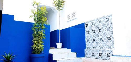 普拉亚Kelly Guest House的蓝白色的墙,有盆栽植物和楼梯