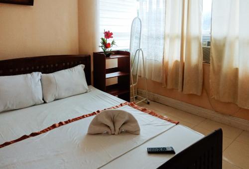 伊洛伊洛Villa Asuncion Country Inn and Resort Iloilo by RedDoorz的相册照片