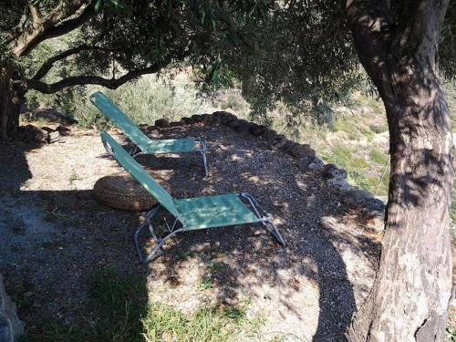 菲利库迪岛Villa Vista Mare a Filicudi的树荫下两把草坪椅