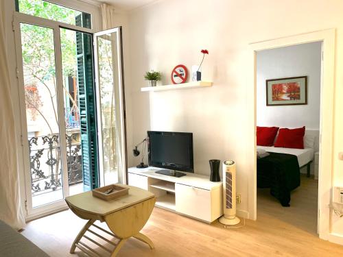 巴塞罗那巴塞罗那高迪公寓的一间带电视和床的客厅
