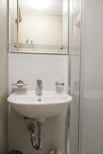 布拉格博特尔酒店的一间带水槽和淋浴的浴室