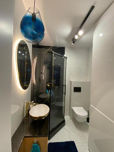 克罗斯诺Kamienica Nova 13的带淋浴、盥洗盆和卫生间的浴室