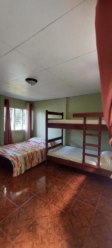 SiquirresHostal y cabinas anita-and rafting tour!的一间卧室配有两张双层床。