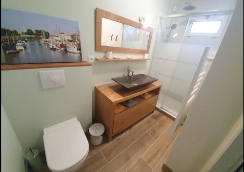 拉罗谢尔Villa Babeth by Nuits au Port的一间带卫生间和水槽的小浴室