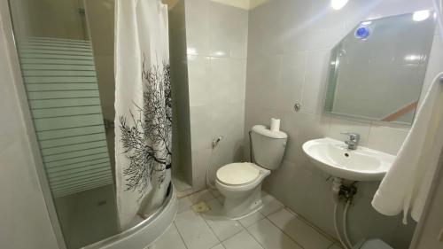 安曼纽帕克酒店的浴室配有卫生间、盥洗盆和淋浴。
