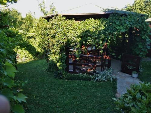 维尔蒂尼克Apartmani Zapis Vrdnik的常春藤覆盖着围栏的花园