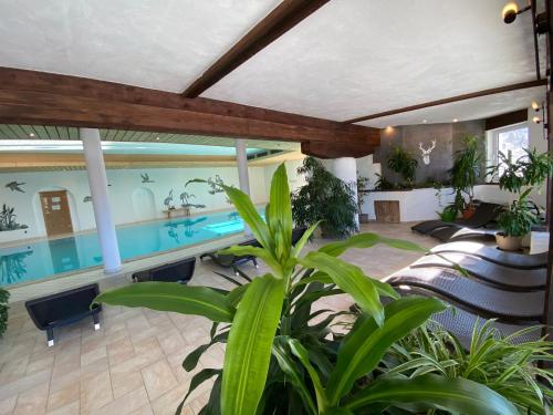 容霍尔茨伯格特洛尔酒店的植物间中带游泳池的房子
