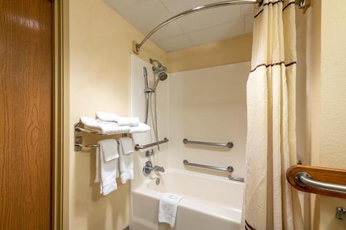 皮吉恩福尔治河湾酒店的一间浴室