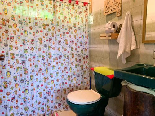 蒙泰韦尔德哥斯达黎加Hakuna Matata Guest House的浴室设有淋浴帘、卫生间和水槽