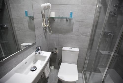 圣阿德里安-德贝索斯圣阿德里雅辞屋塔酒店的带淋浴、卫生间和盥洗盆的浴室