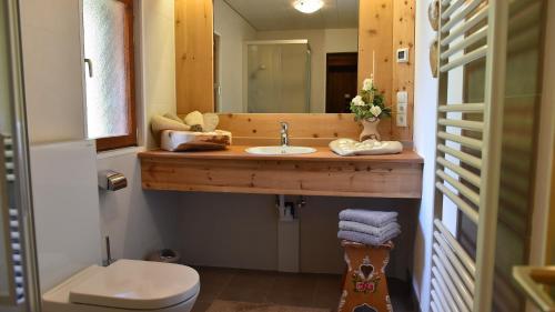 瓦尔奥纳的圣乔凡尼Berghütte Ahrntal的一间带水槽和镜子的浴室