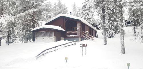 鲁卡Ruka Villa Kieppi的雪中树屋