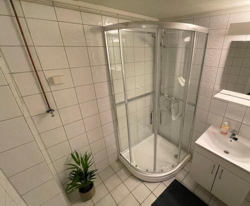 Finnegården Røros的一间浴室
