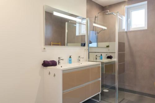 阿梅尔斯克维Chez Delphine的一间带水槽和镜子的浴室