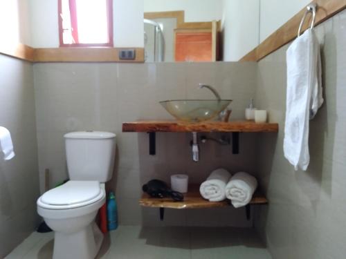 琼奇Cabañas Pukatue的浴室配有盥洗盆、卫生间和毛巾。