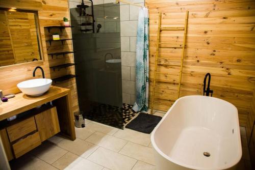 勒唐蓬Chalet des Hauts- Vue piton des neiges的带浴缸、水槽和淋浴的浴室