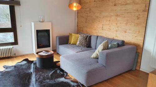 施利尔塞Bungalow mit Terrasse im alpinen Stil的带沙发和壁炉的客厅