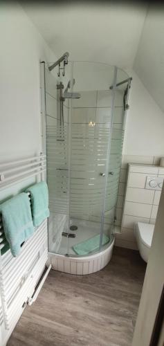 霍瓦赫特艾琳酒店的一个带水槽的玻璃淋浴间