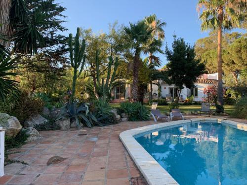 奇克拉纳－德拉弗龙特拉Finca Filpi的棕榈树庭院内的游泳池