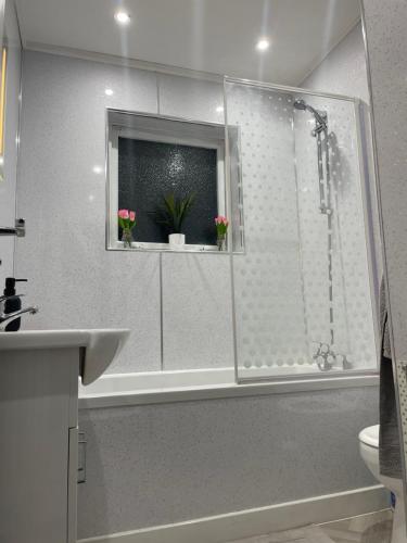 威廉堡Bluebell lodge的浴室设有窗户,配有带两朵鲜花的淋浴
