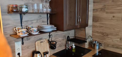 卡尔帕奇Myśliwska 5a的厨房配有木制橱柜和带杯子及盘子的盥洗盆