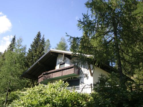 索内纳尔佩·纳斯费尔德Chalet in Nassfeld ski area in Carinthia的树林中的一座房子