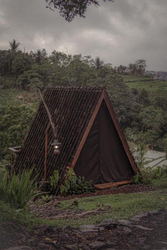 PujunganKAMPUNG KOPI CAMP的田野顶上的一个小帐篷