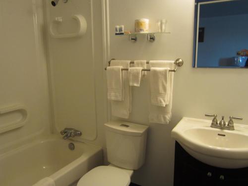 TeslinNisutlin Trading Post Motel的浴室配有白色卫生间和盥洗盆。