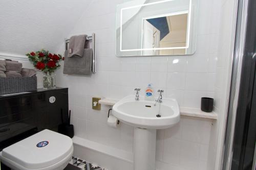 波特里布雷塞德宾馆的白色的浴室设有水槽和卫生间。
