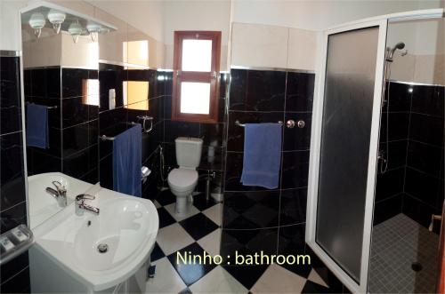 明德卢Solar Windelo的一间带水槽、卫生间和淋浴的浴室