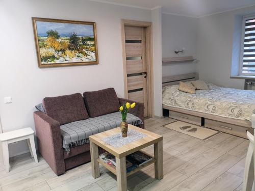 奈达Miško studija的客厅配有沙发和1张床