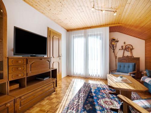 伊伯恩道夫Apartment in Eberndorf Carinthia with sauna的一间带电视和沙发的客厅