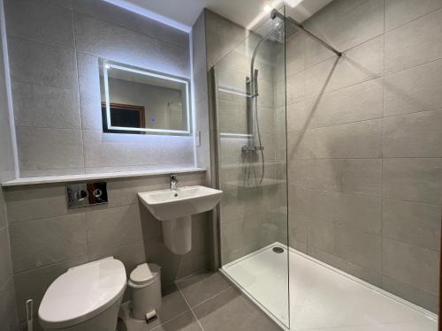 LlanrhystydPenrhos Park的浴室配有卫生间、盥洗盆和淋浴。