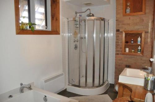蒙特利尔蒙特利尔火地岛公寓的带淋浴和盥洗盆的浴室