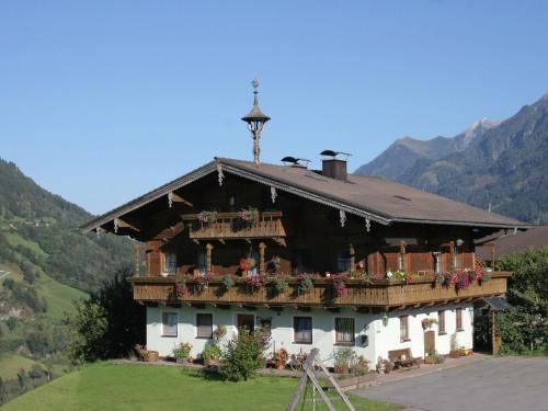 EmbachApartment in Embach Austria near ski area的带阳台和鲜花的大房子