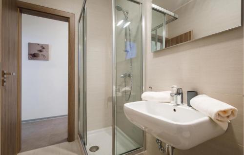 诺维格勒伊斯特拉Gorgeous Apartment In Novigrad With Kitchen的一间带水槽和玻璃淋浴的浴室