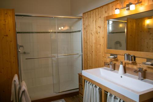 CadaujacChâteau Valoux的带淋浴、盥洗盆和镜子的浴室