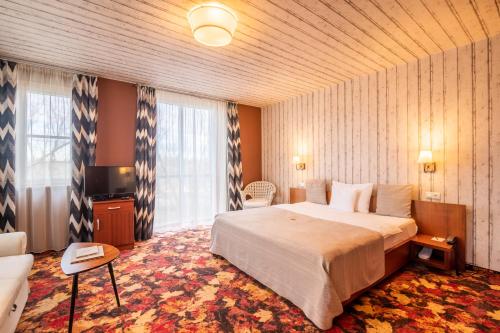莫雄马扎尔古堡拉奇特公园酒店的酒店客房设有一张床和一个大窗户