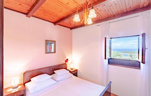 尼亚卢卡Amazing Home In Vela Luka With House A Panoramic View的相册照片