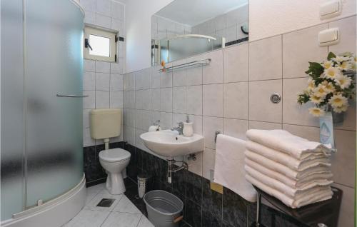 特罗吉尔Awesome Apartment In Arbanija With 1 Bedrooms And Wifi的白色的浴室设有水槽和卫生间。