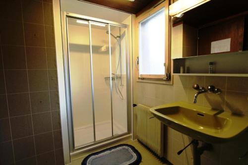 因内特基尔兴阿尔宾娜餐厅酒店的带淋浴和盥洗盆的浴室