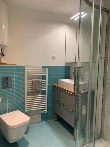 卢瓦尔河畔默恩Le moulin des 2 roues的一间带卫生间和玻璃淋浴间的浴室