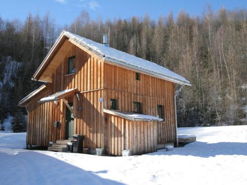 穆尔河畔施塔德尔奥地利小木屋的雪中的一个木制谷仓,有树木在后面