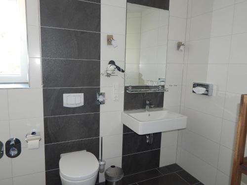 瓦森贝格欧隆福斯特维斯酒店的一间带卫生间和水槽的浴室
