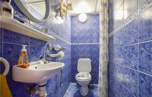 VenzolascaGorgeous Home In Venzolasca With Kitchen的蓝色瓷砖浴室设有水槽和卫生间