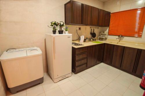 阿可贺巴城市套房公寓式酒店的带冰箱和洗衣机的小厨房