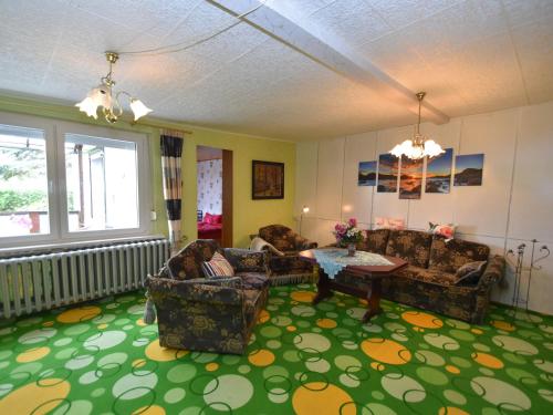 CattenstedtHoliday home in Cattenstedt Harz with garden的客厅配有沙发和一张绿地毯上的桌子